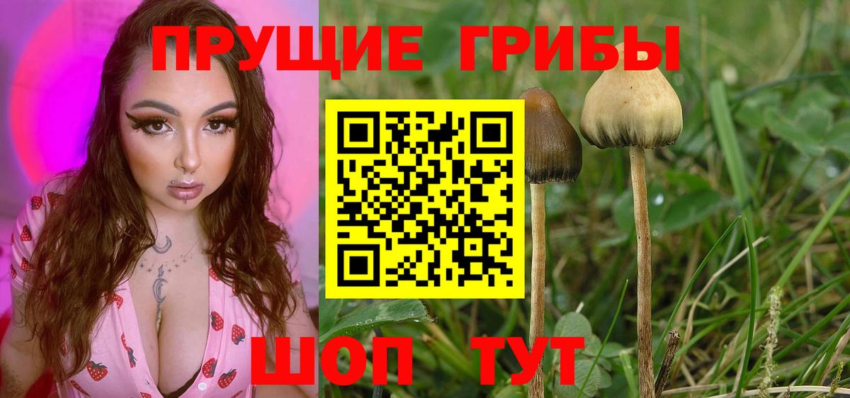 Галлюциногенные грибы MAGIC MUSHROOMS  Вход с VPN  Котовск 